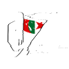 DZ Algeria Algerian Flag
