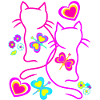 Katte, Killing, Kat, Børn, Piger, Baby