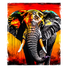 Elephant Portrait