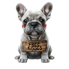Mignon bouledogue français baisers gratuits