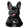Cute French Bulldog Look