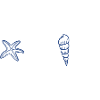 Shells - marine animal