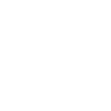 Shells - marine animal