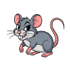 RAT mignon