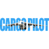 Cargo pilot An-124