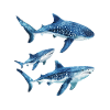 Whale shark