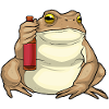 Bouteille de bière Frog