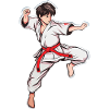 Karate Boy