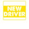 Driving School Driving Instructor