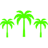 Palm trees