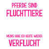 Lustiger Pferdespruch Pferd