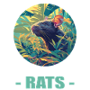 Rat Rat