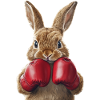 Hase