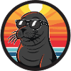 Seal Animal Cool Summer