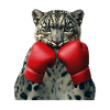 Schneeleopard