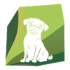 Mops Haustier Bulldogge