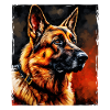 Schäferhund Hund Porträt