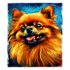 Pomeranian Dog Portrait