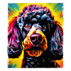 Poodle Dog Portrait
