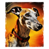 Greyhound Dog Portrait