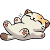Niedliche Katze Chat mignon