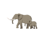 Elephant Lovers Gifts