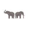 Elephant Lovers Gifts