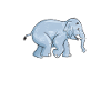 Elephant Lovers Gifts