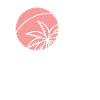 Palm Tree Circle