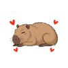 Capybara