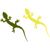 Gecko 2
