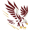 Geometric Eagle on Attack