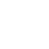 Year 1966