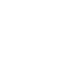 Schnauzer Jannis