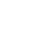 Année 1970