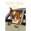 Keep Cool, Bro Pablo