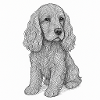 Cocker Spaniel Strichzeichnung