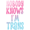Transgender Trans LGBT Pride