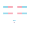 Fierté LGBT transgenre