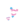Fierté LGBT transgenre