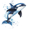 Orca