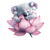 Sleeping koala on lotus