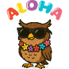 eule sonnenbrille aloha