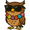 Owl Sunglasses
