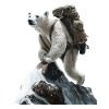 Eisbär