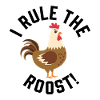Chicken Chickens