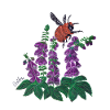 Chilean Bumblebee