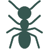 Ant Motif