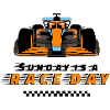 Race F1 Raceauto Motorsport Fan Zondag Racetag