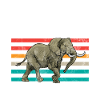 Elephant Lovers Gifts